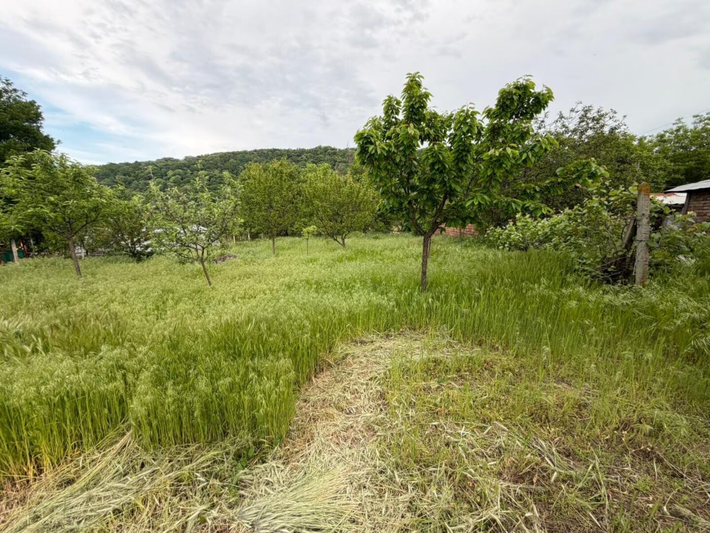 Authentisches Landhaus mit viel Platz in Dragash – Bulgarien