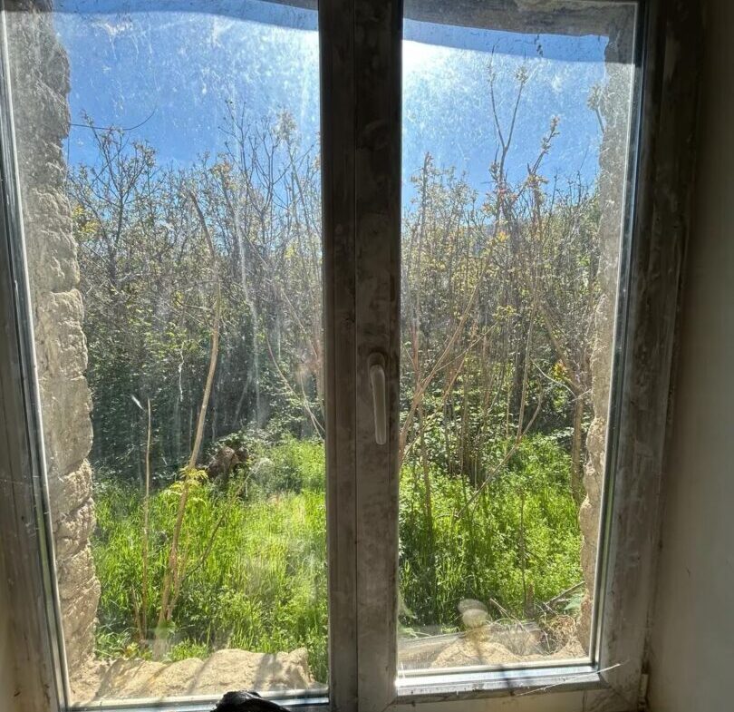 810