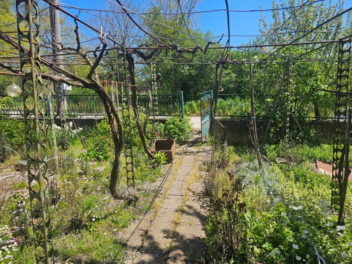 Freistehendes Dorfhaus mit Weitblick in Koriten – Bulgarien