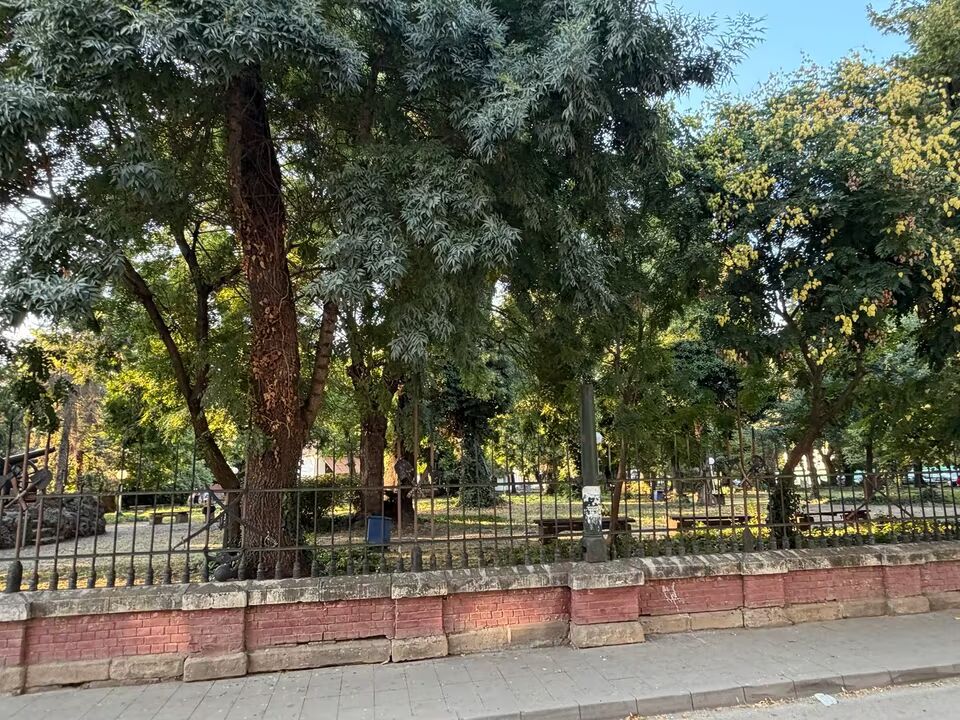 960